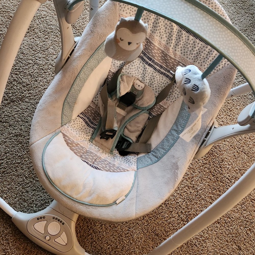 Portable Swing